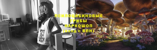 стафф Белокуриха