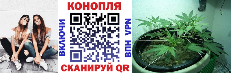 Бошки Шишки White Widow  где найти наркотики  Никольское 